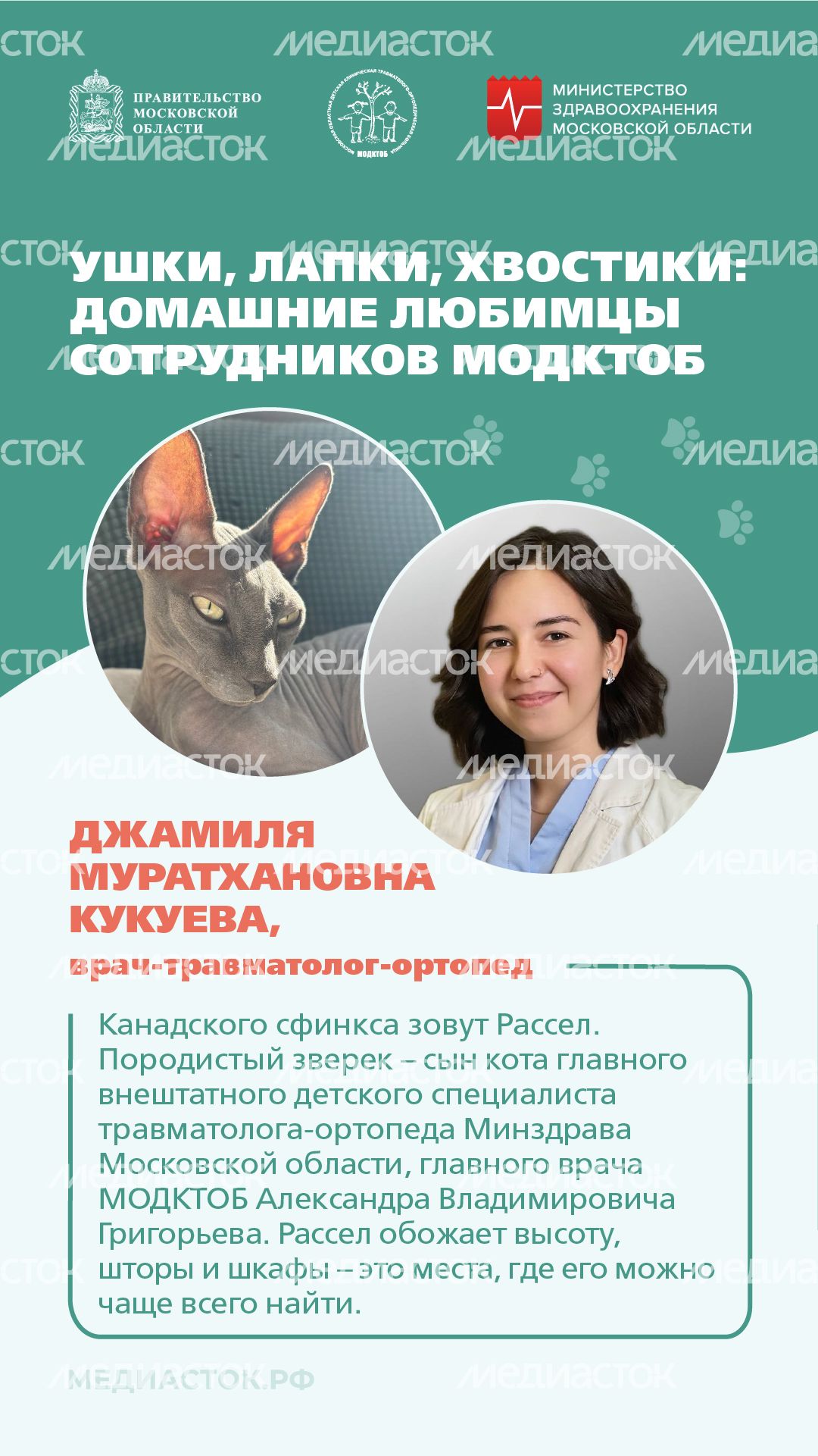 Ушки, лапки, хвостики вертикаль 02 Ушки, лапки, хвостики вертикаль 02