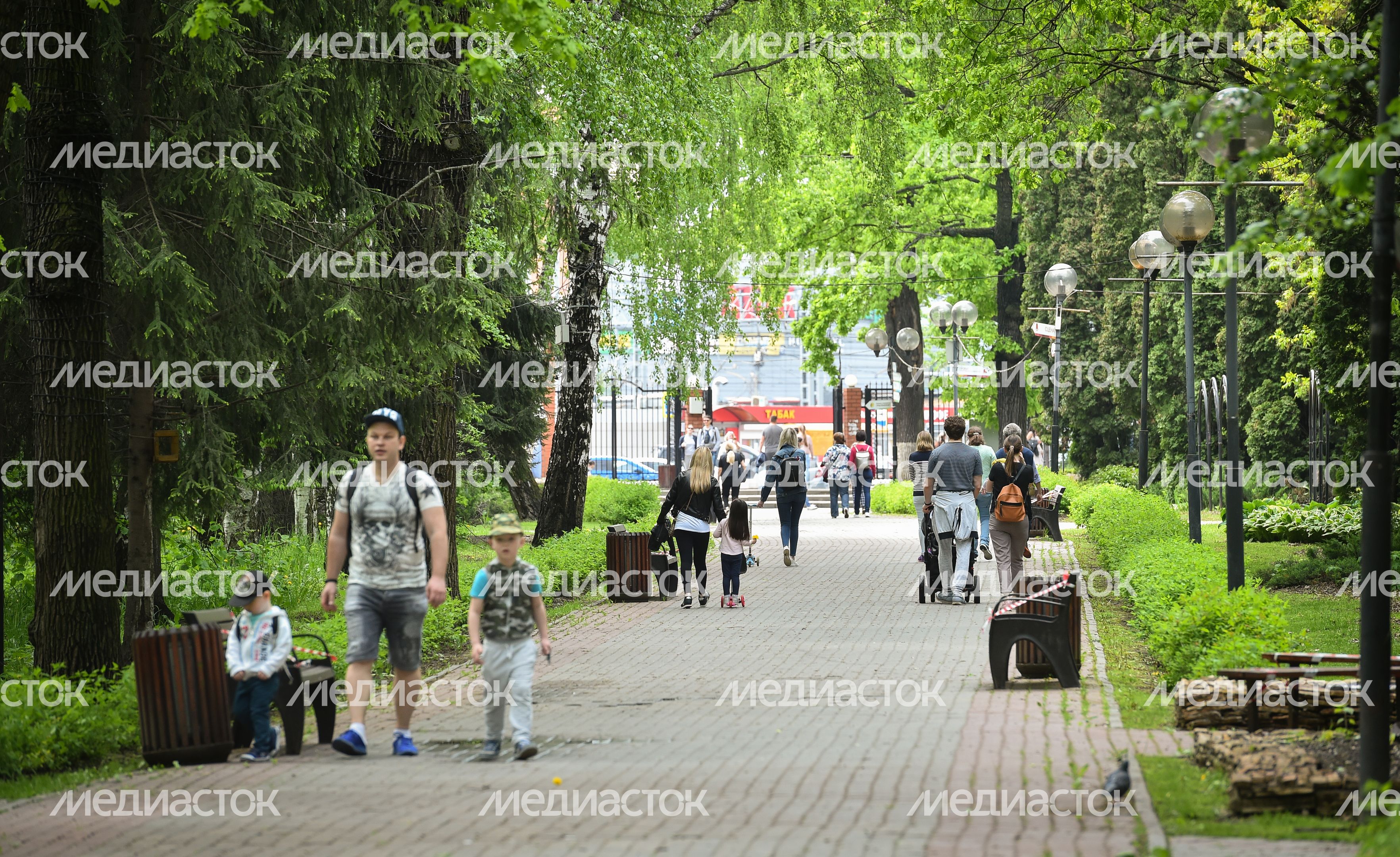 Открытие парков в Подмосковье