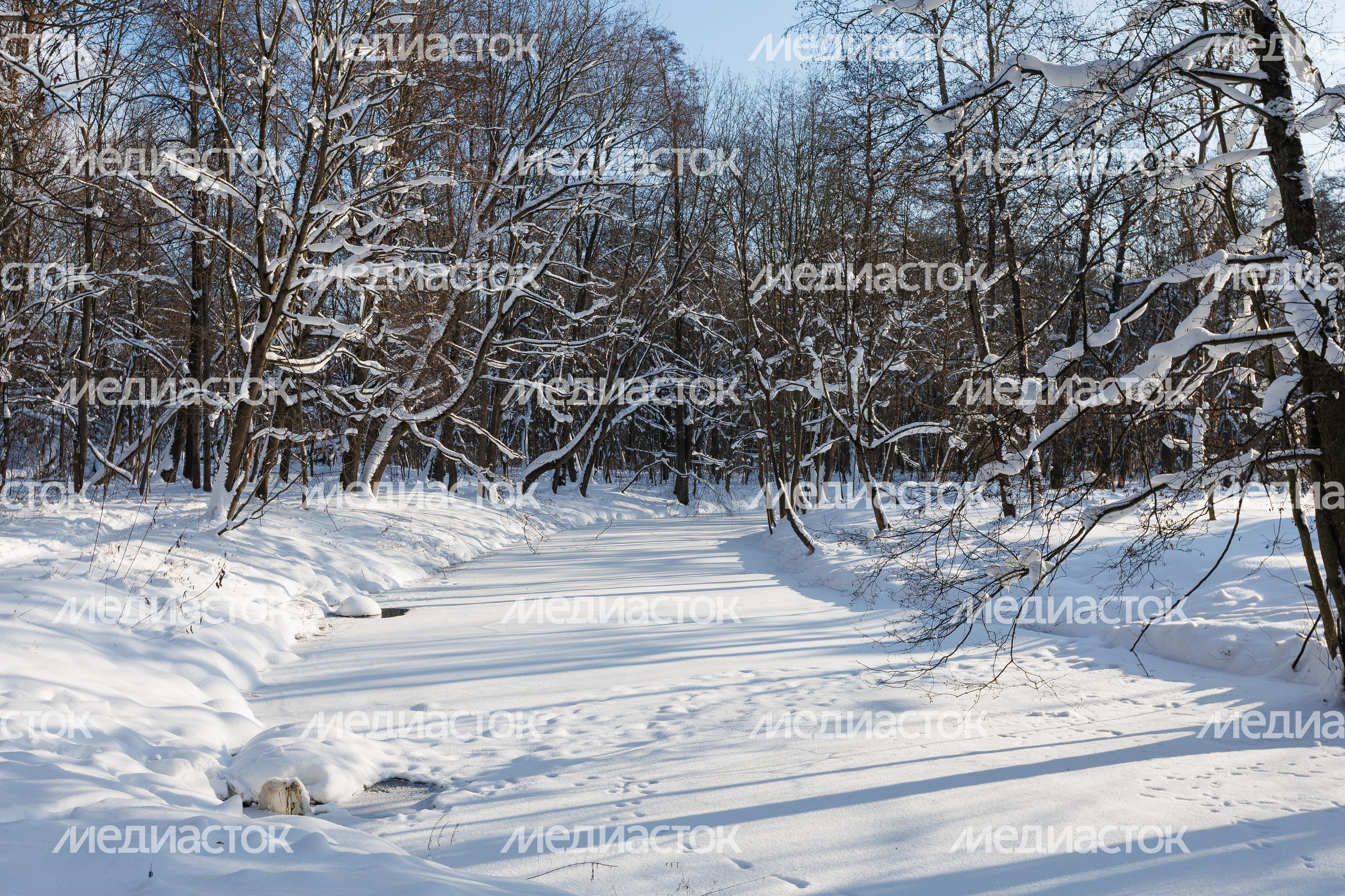 Зима в усадьбе Быково в Раменском