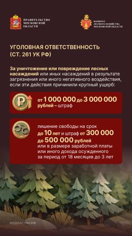 Санитарная безопасность в лесах вертикаль 05
