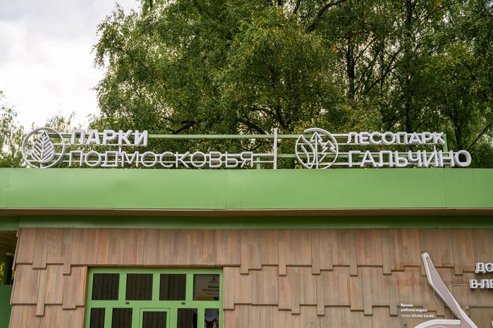 Лето в лесопарке «Гальчино» в Домодедово