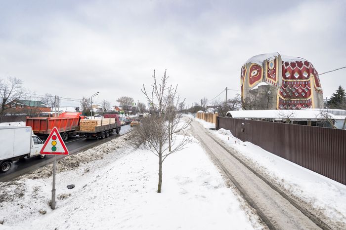 Дом-слон в подмосковных Островцах