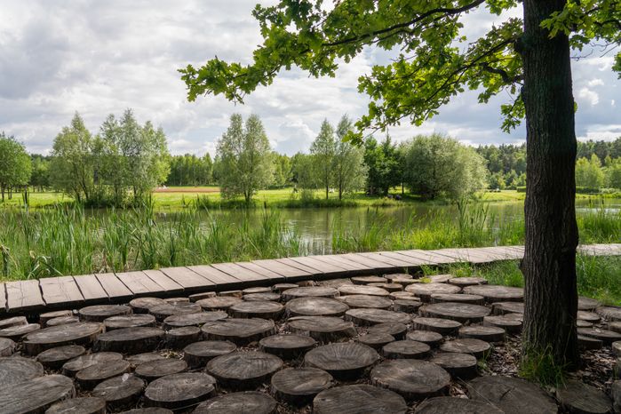 Мещерский парк летом