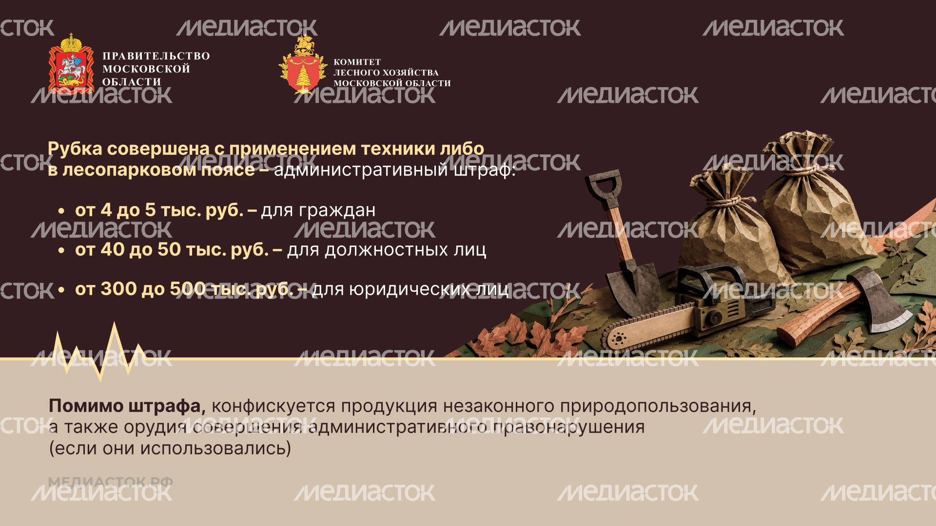 Незаконная рубка горизонталь 04