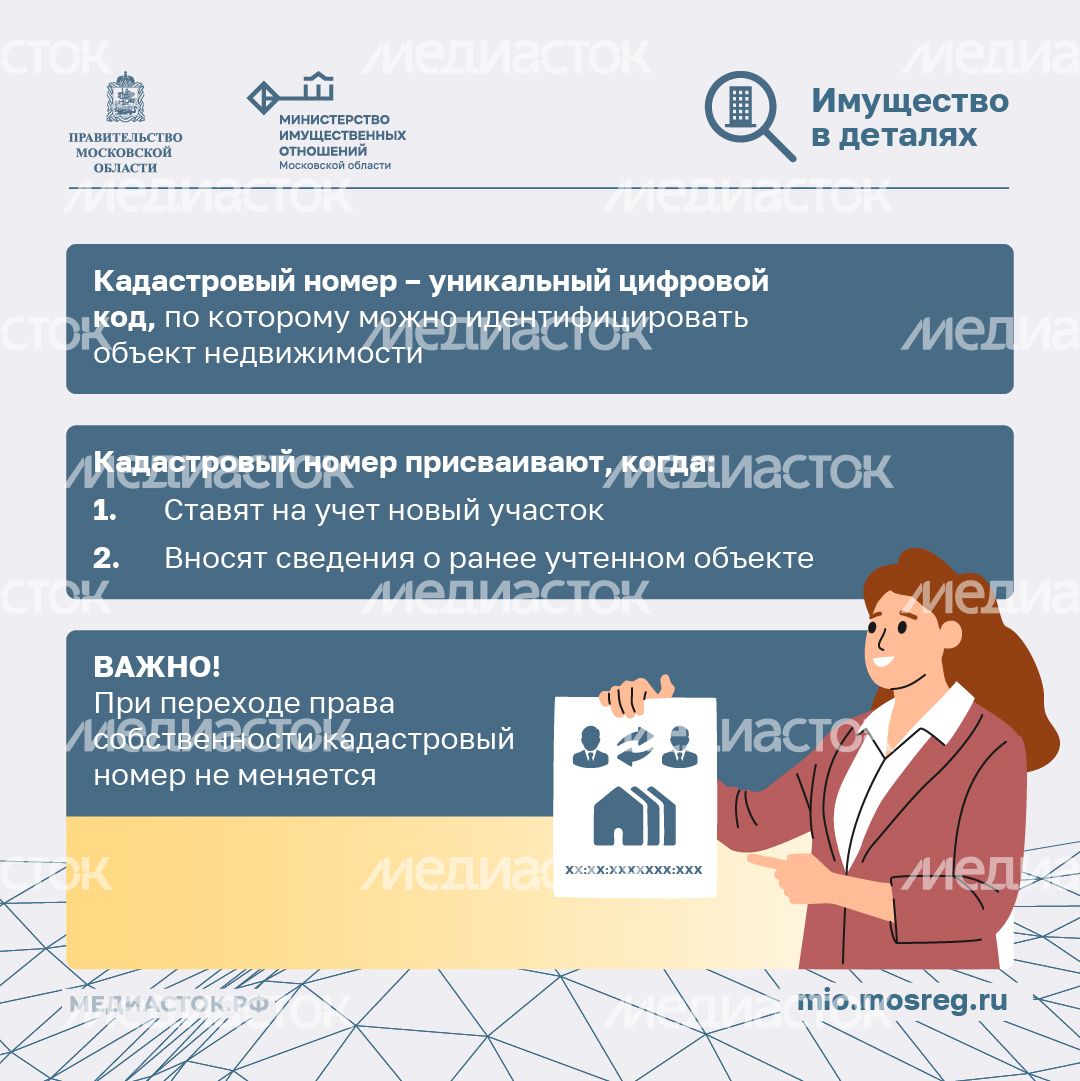 Что такое кадастровый номер участка квадрат 02 Что такое кадастровый номер участка квадрат 02