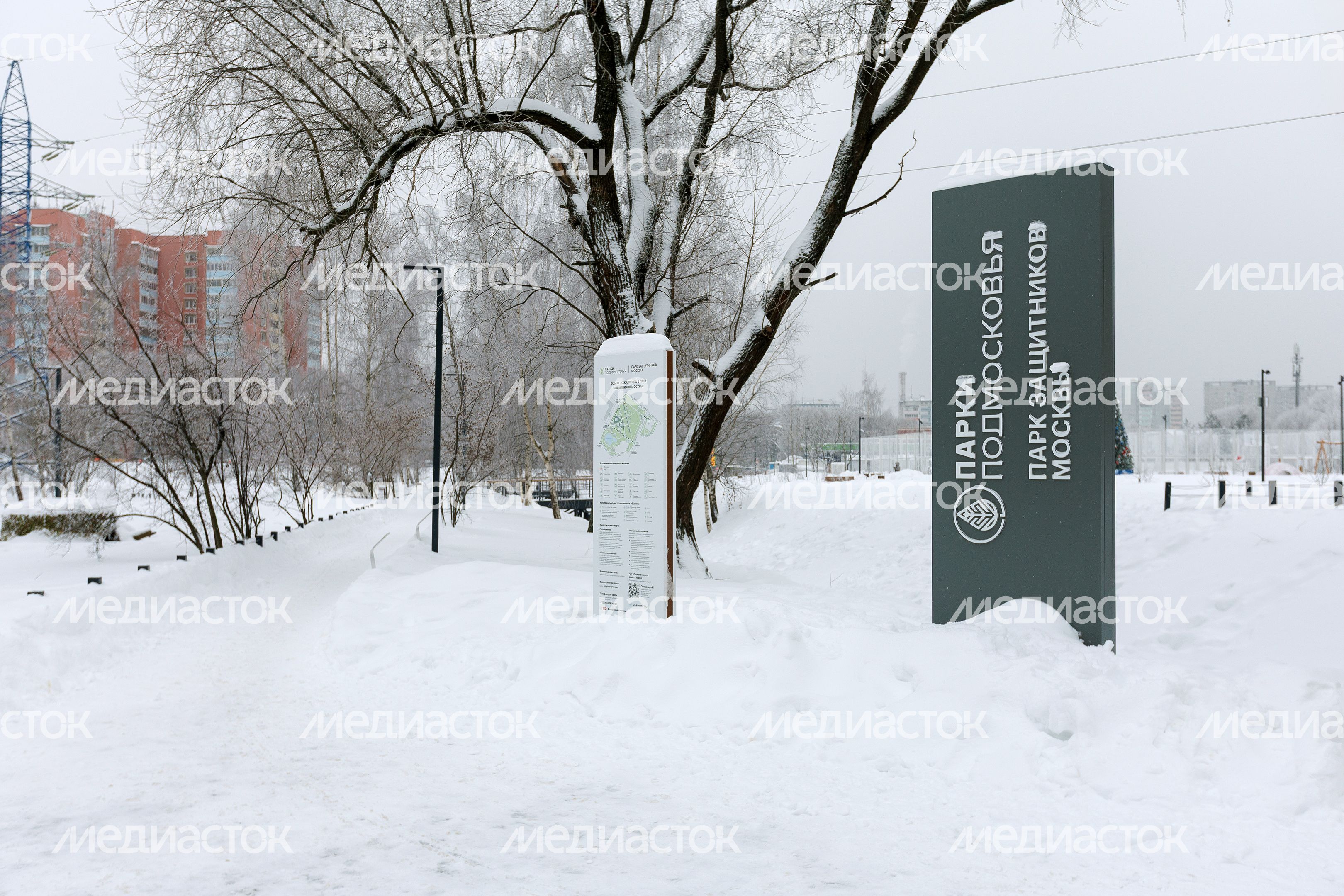 Зима в сквере Защитников Москвы в Лобне Зима в сквере Защитников Москвы в Лобне