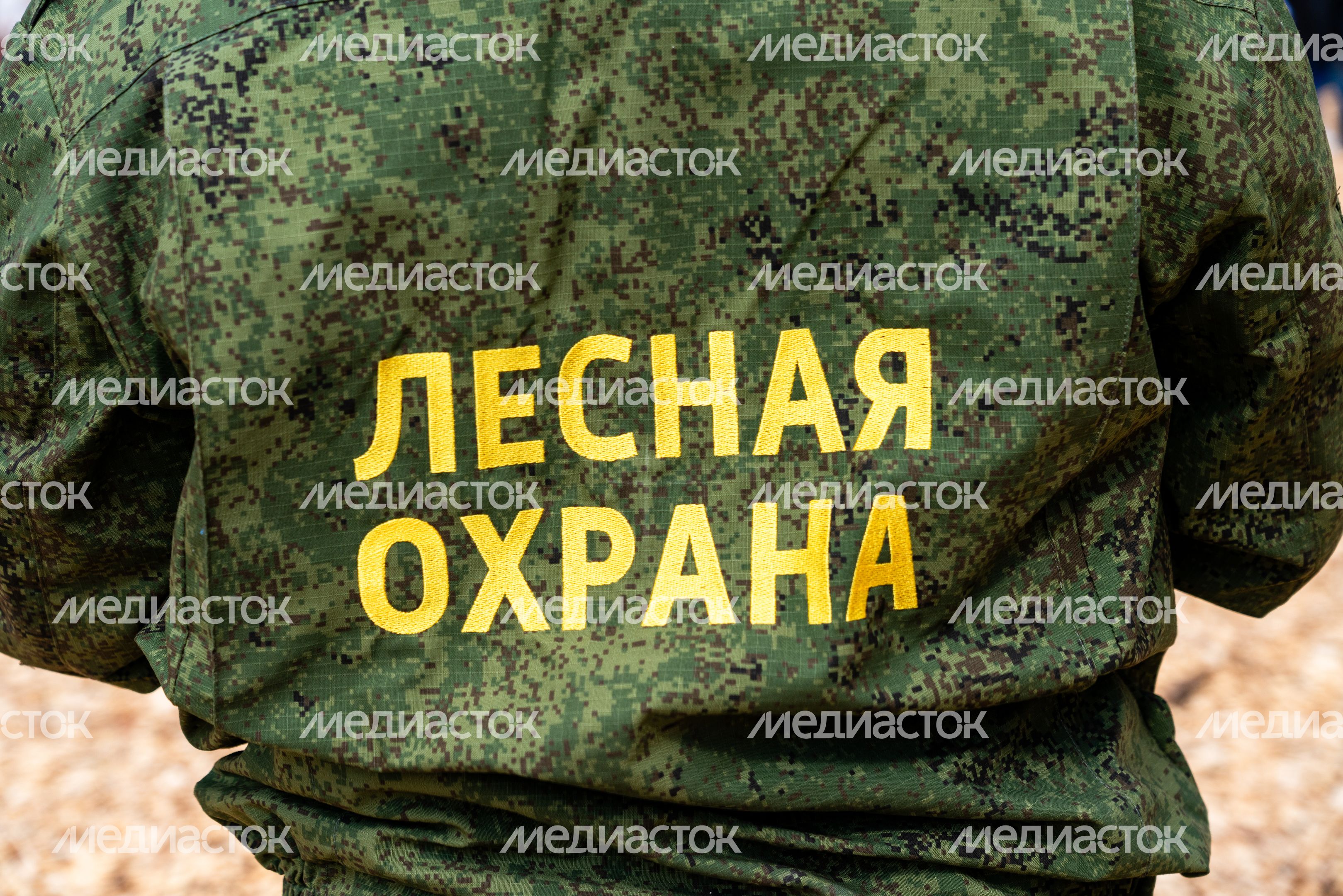 Деревья высадили в Рузском округе в рамках акции «Сад Памяти» ко Дню Победы