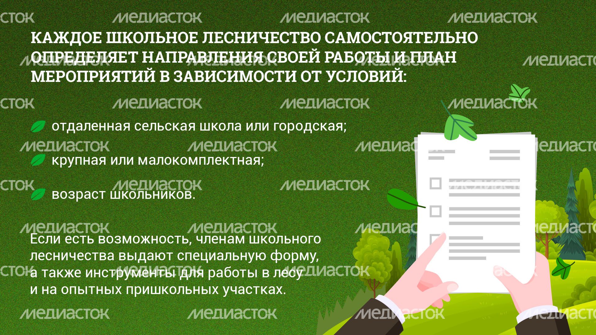 Школьные лесничества