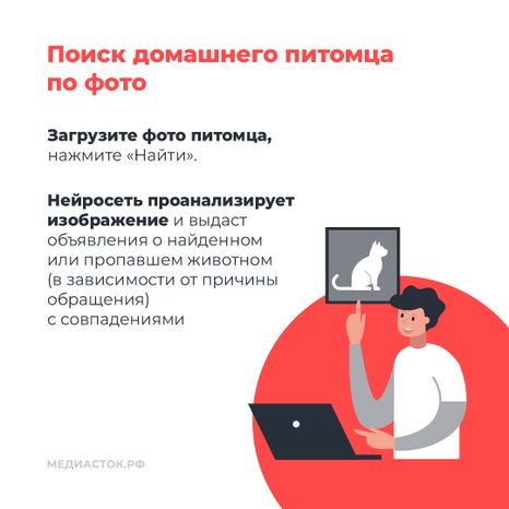 Домашние животные квадрат 04