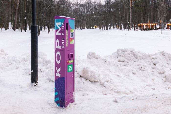 Красногорский городской парк зимой