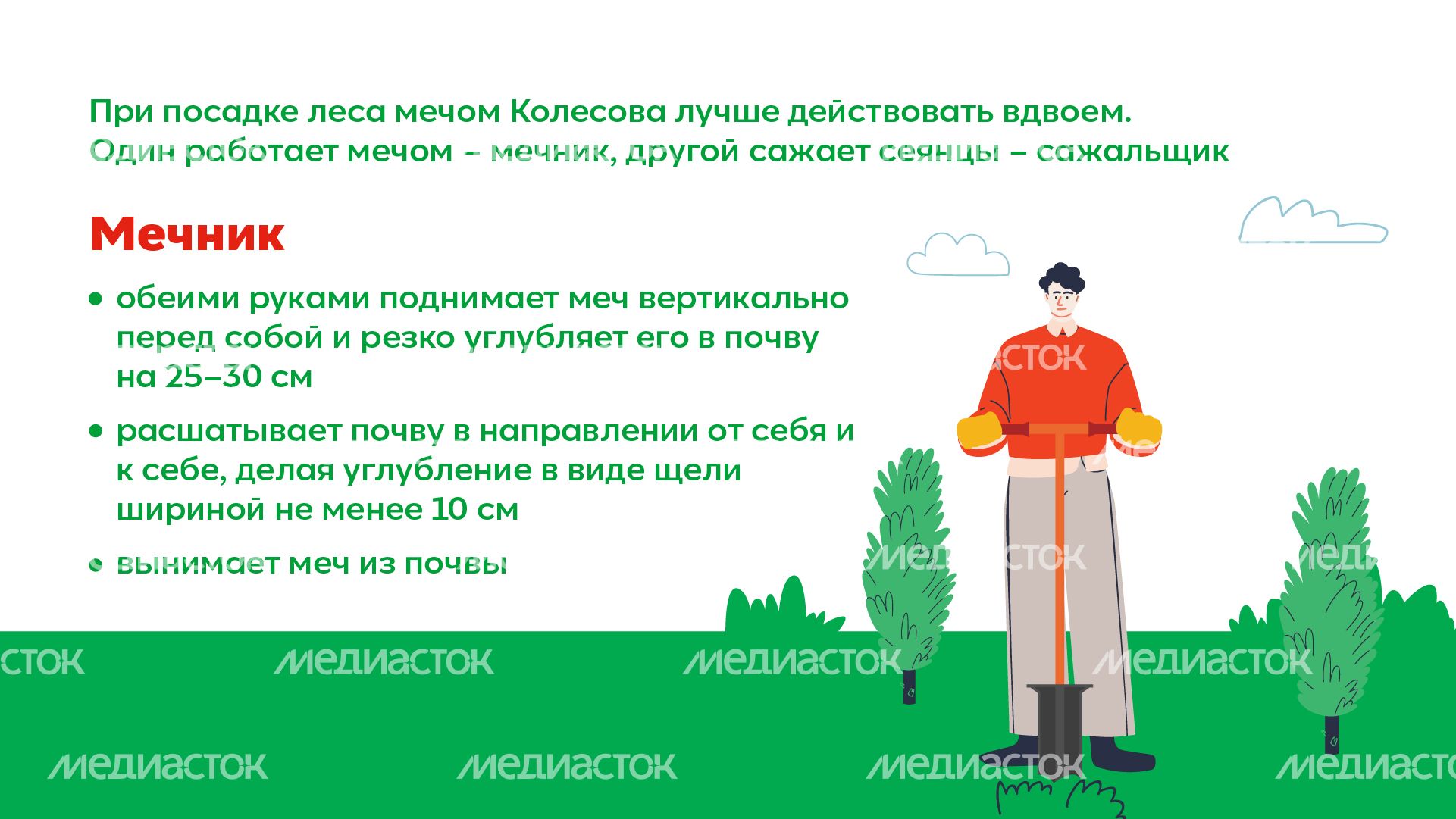 Горизонталь_ меч Колесова_03-100.jpg