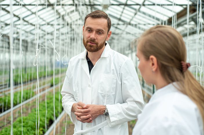 Теплицы крупного семеноводческого агропромышленного комплекса ООО «Агрофирма Партнер»