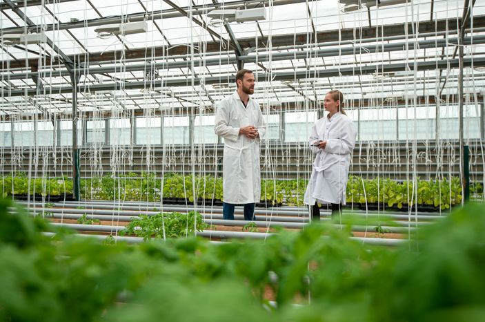 Теплицы крупного семеноводческого агропромышленного комплекса ООО «Агрофирма Партнер»
