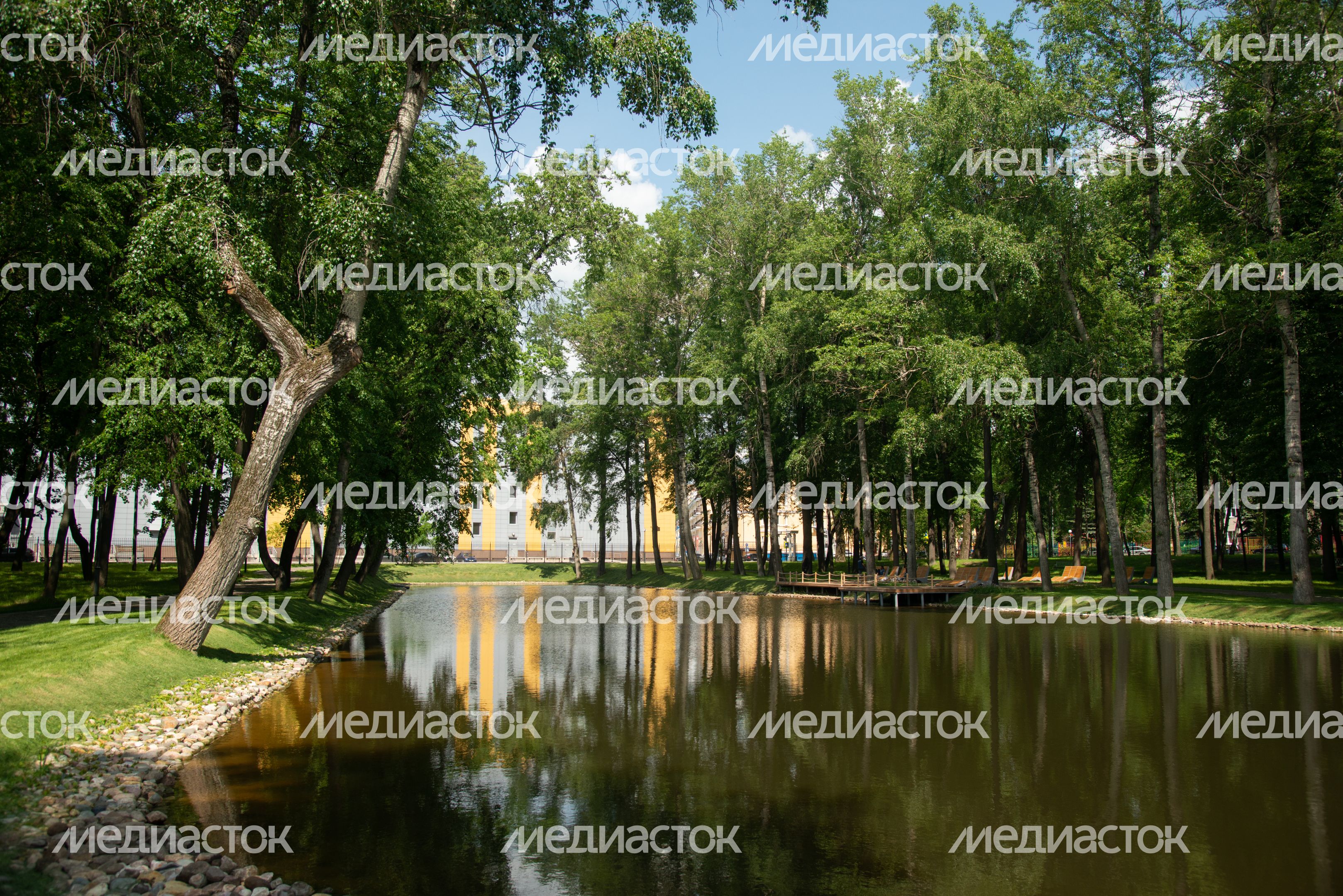 Парк Кривякино