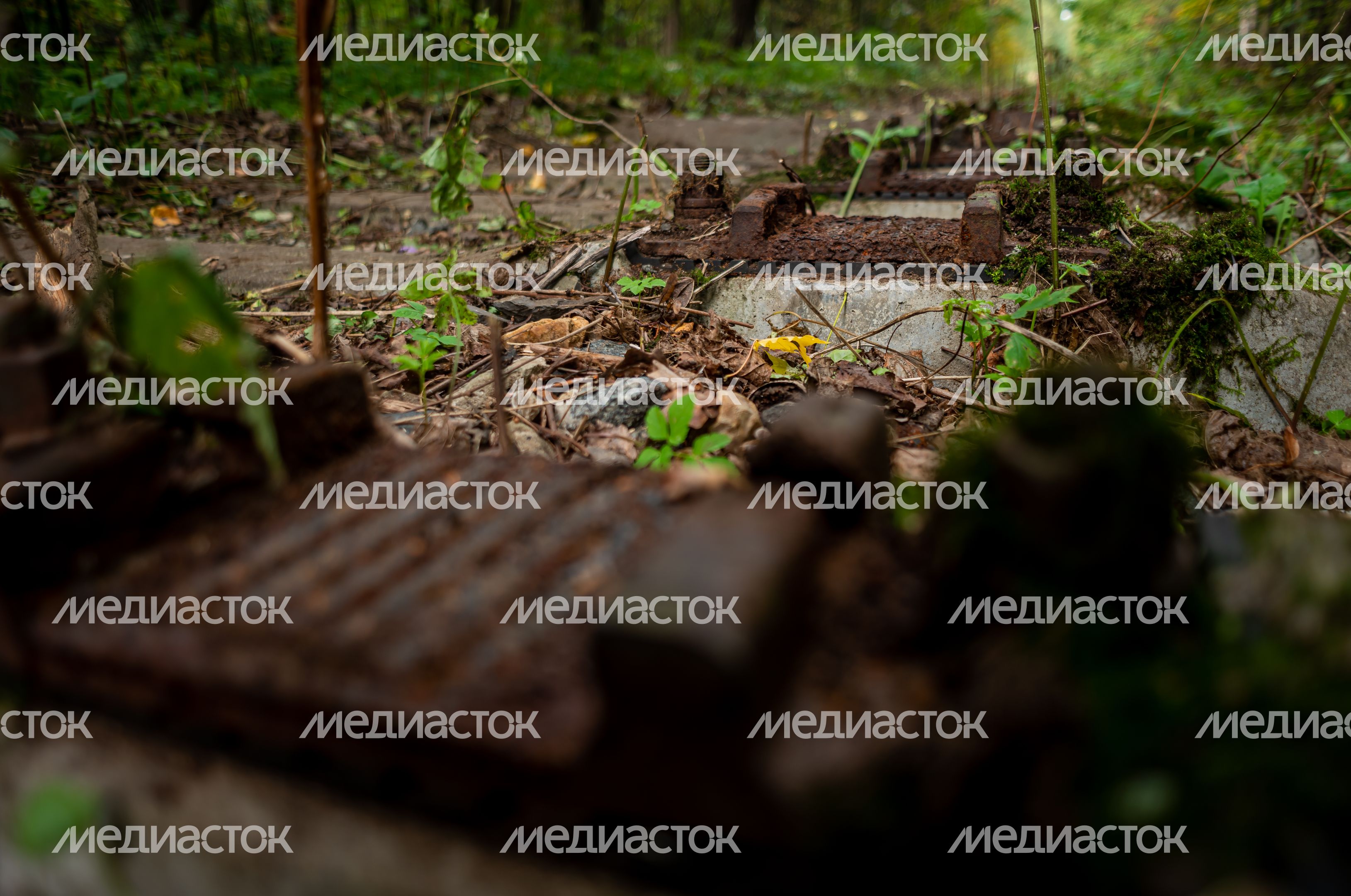 Заброшенная железнодорожная ветка в Лосином Острове