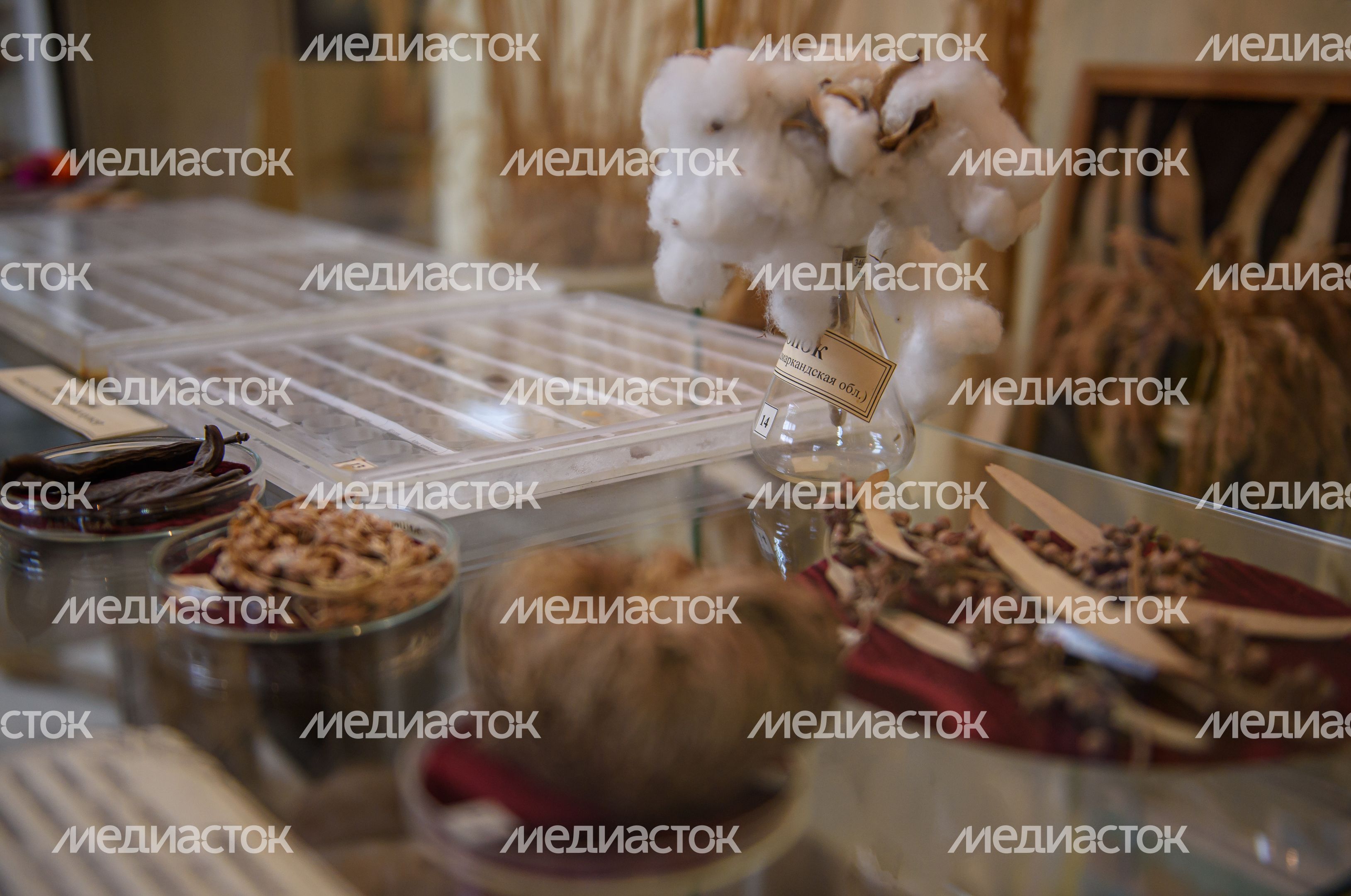 Пущинский музей экологии и краеведения