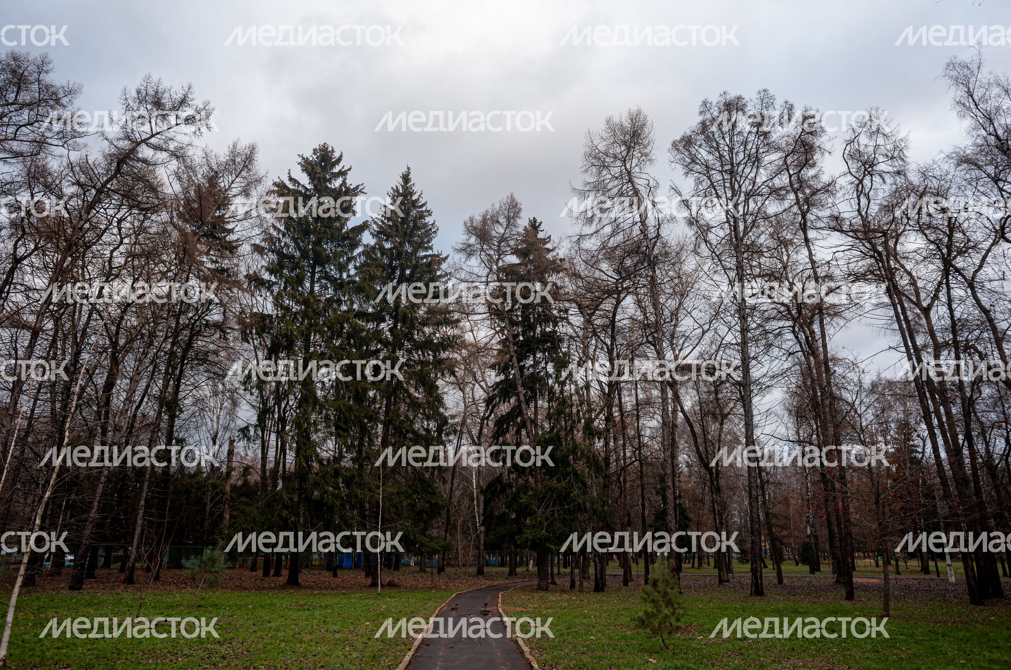 Осенние виды Парка Мира в Коломне