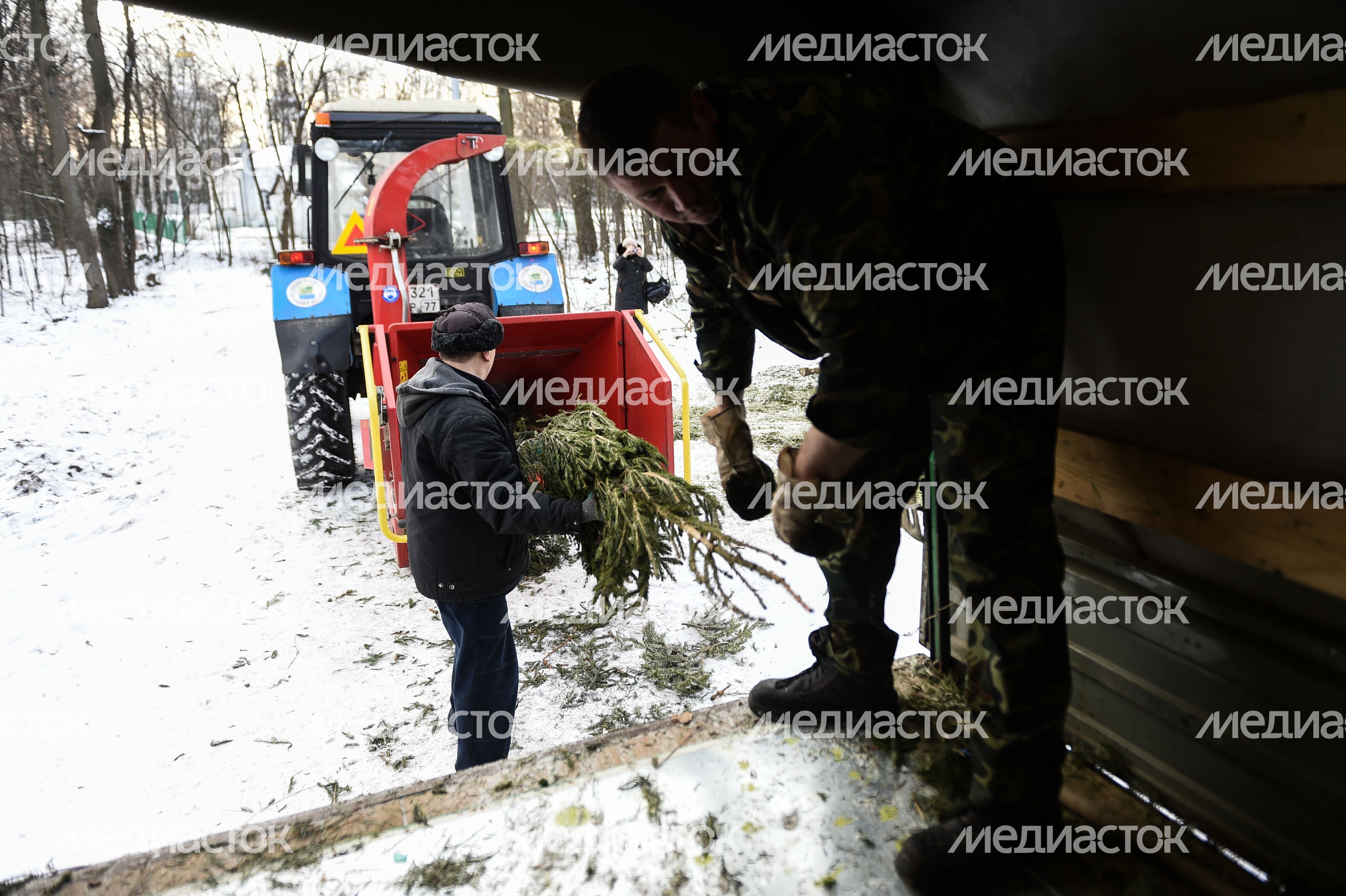 Утилизация елок после Нового года в Москве