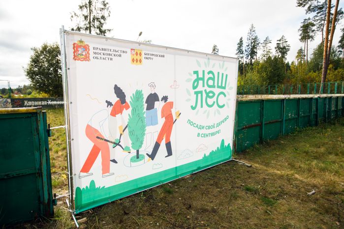 Богородский г.о. Наш лес. Посади свое дерево, сентябрь 2023 г.