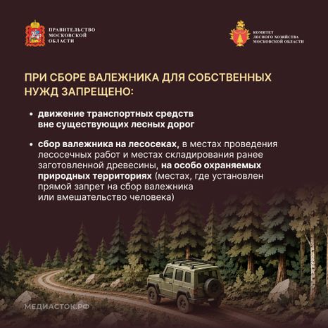 Валежник для собственных нужд квадрат 07