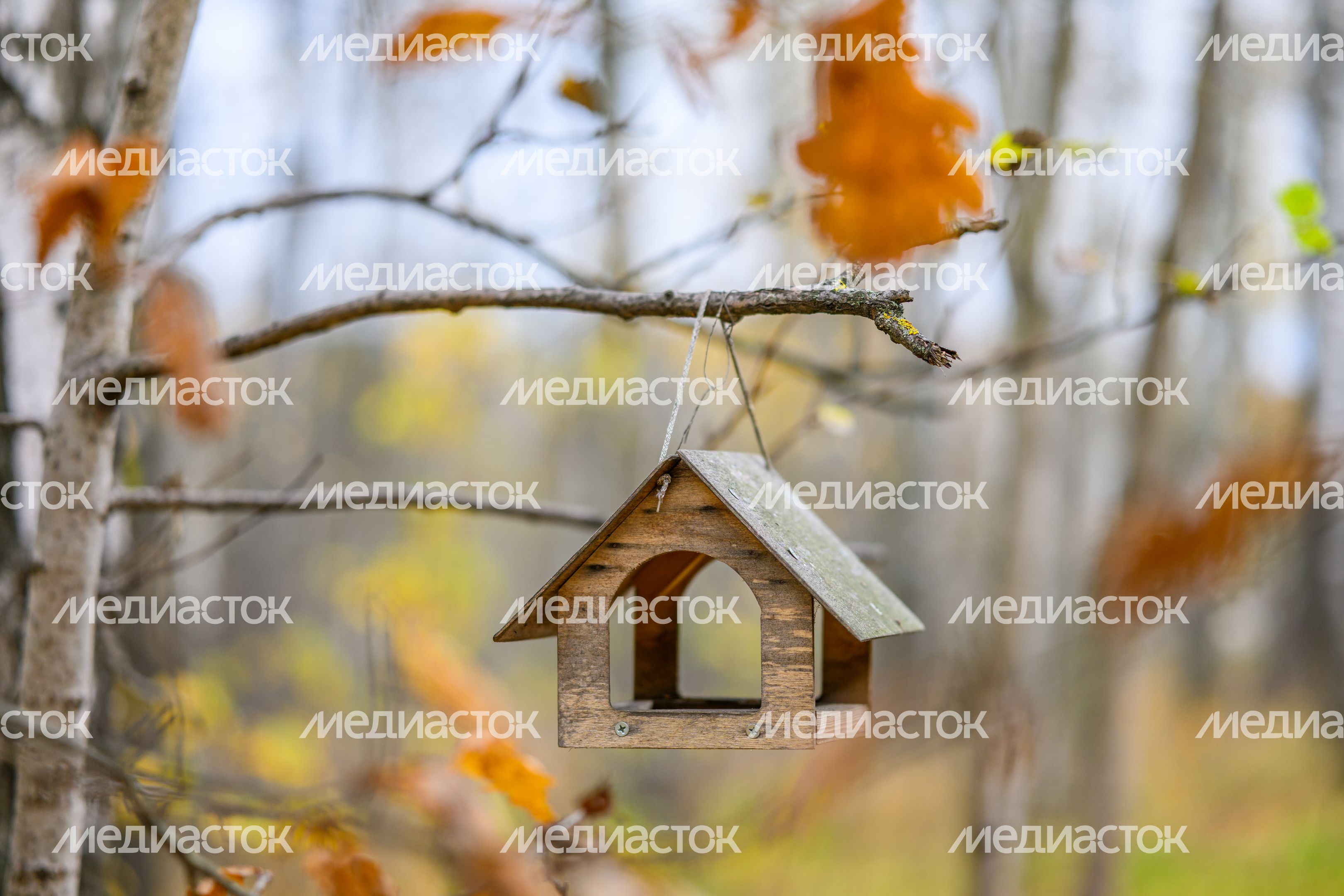 Кормушка в парке «Взлет» города Домодедово осенью Кормушка в парке «Взлет» города Домодедово осенью