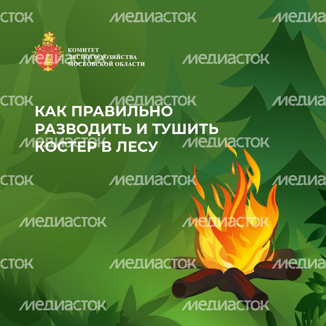 комлесхоз_костер_кв_1.jpg