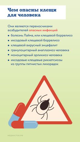 Как защититься от клещей вертикаль 03