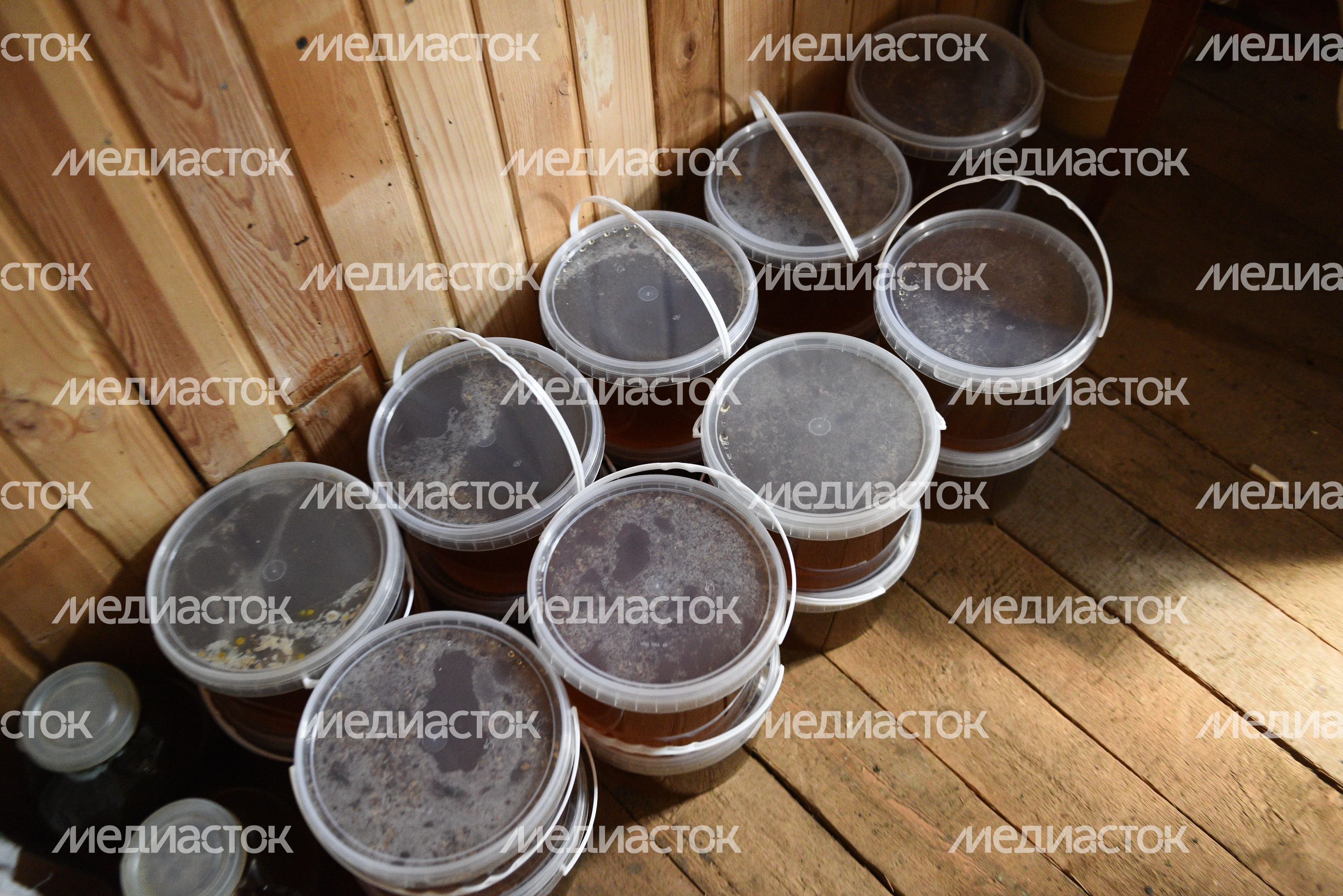 Пчеловод из Королева, 2 часть Пчеловод из Королева, 2 часть