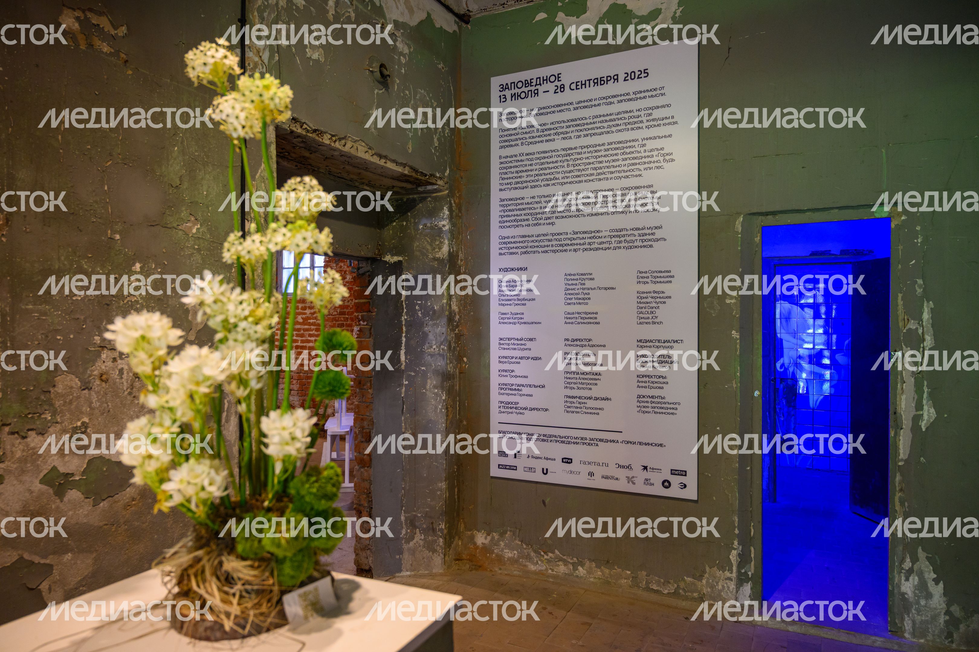 Фестиваль современного искусства "Заповедное" в Горках Ленинских Фестиваль современного искусства "Заповедное" в Горках Ленинских