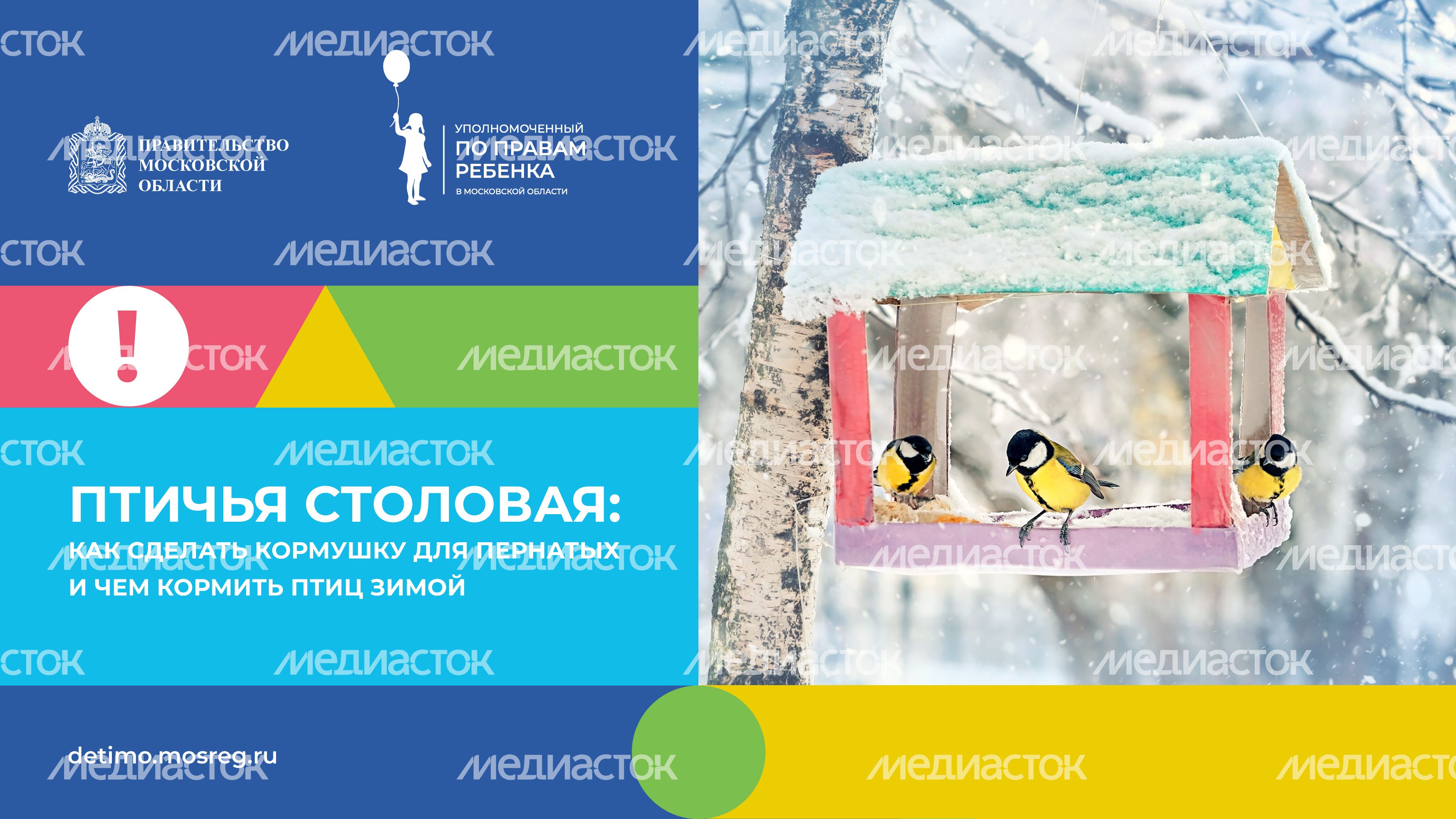 синичкин_день_горизонталь_01.jpg