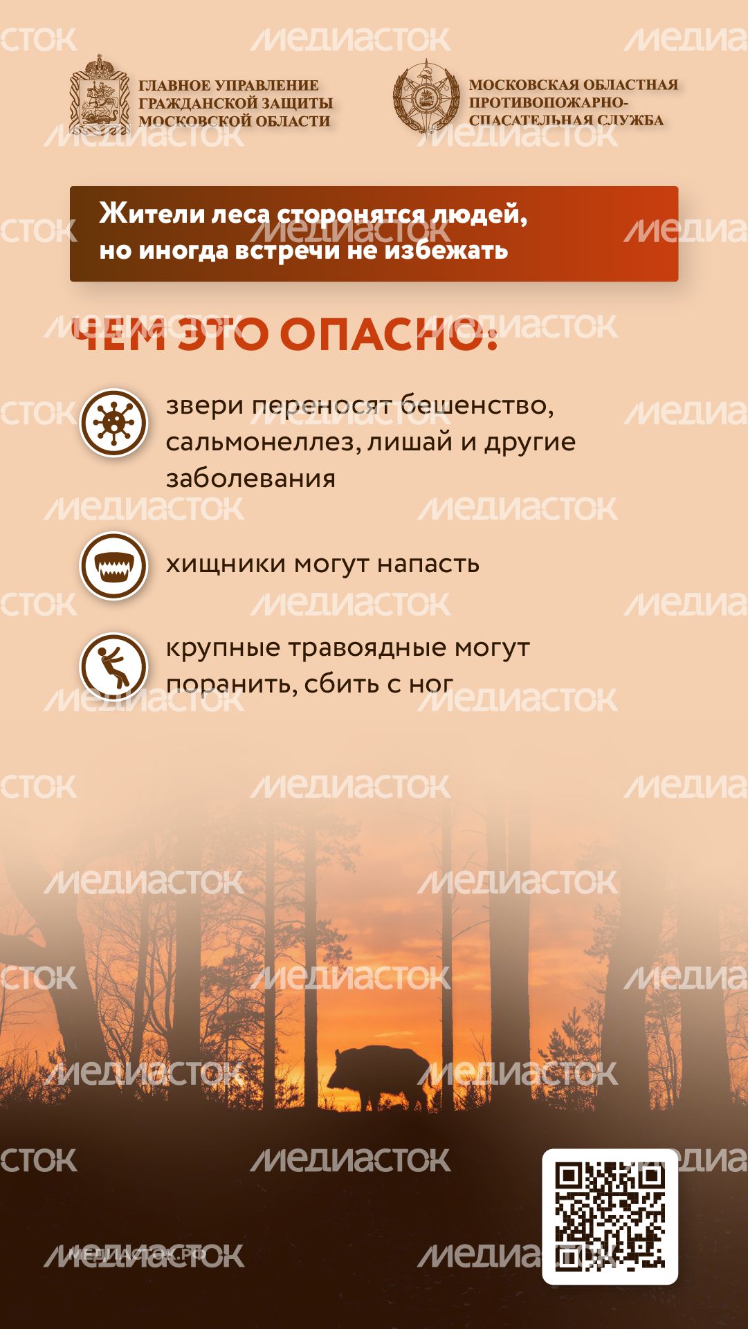 Что делать при встрече с диким животным вертикаль 02 Что делать при встрече с диким животным вертикаль 02