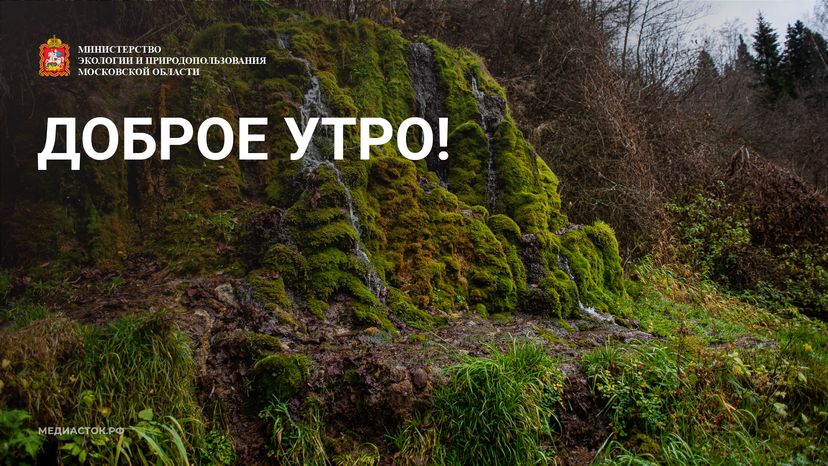 Доброе утро горизонталь 01