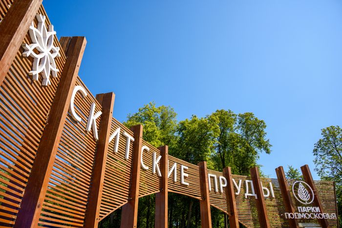 Парк "Скитские пруды" в Сергиевом Посаде. Лето