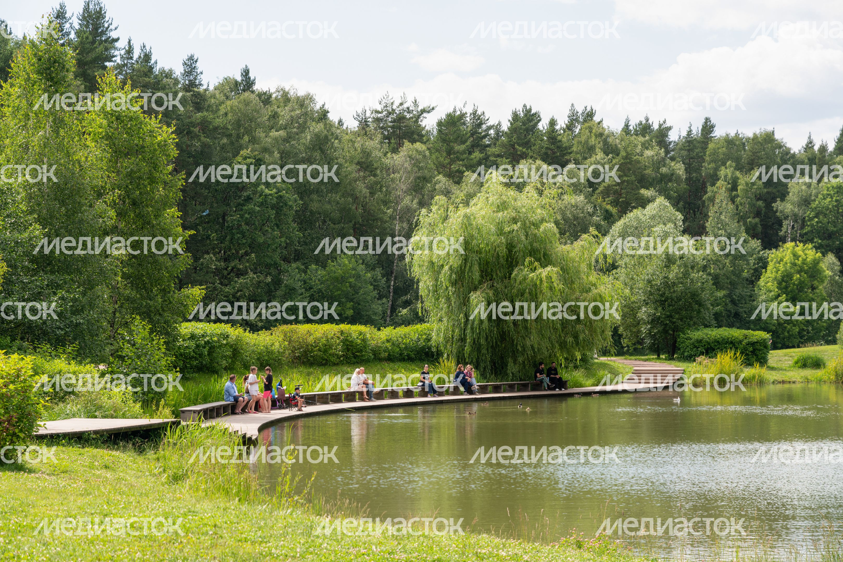 Мещерский парк летом
