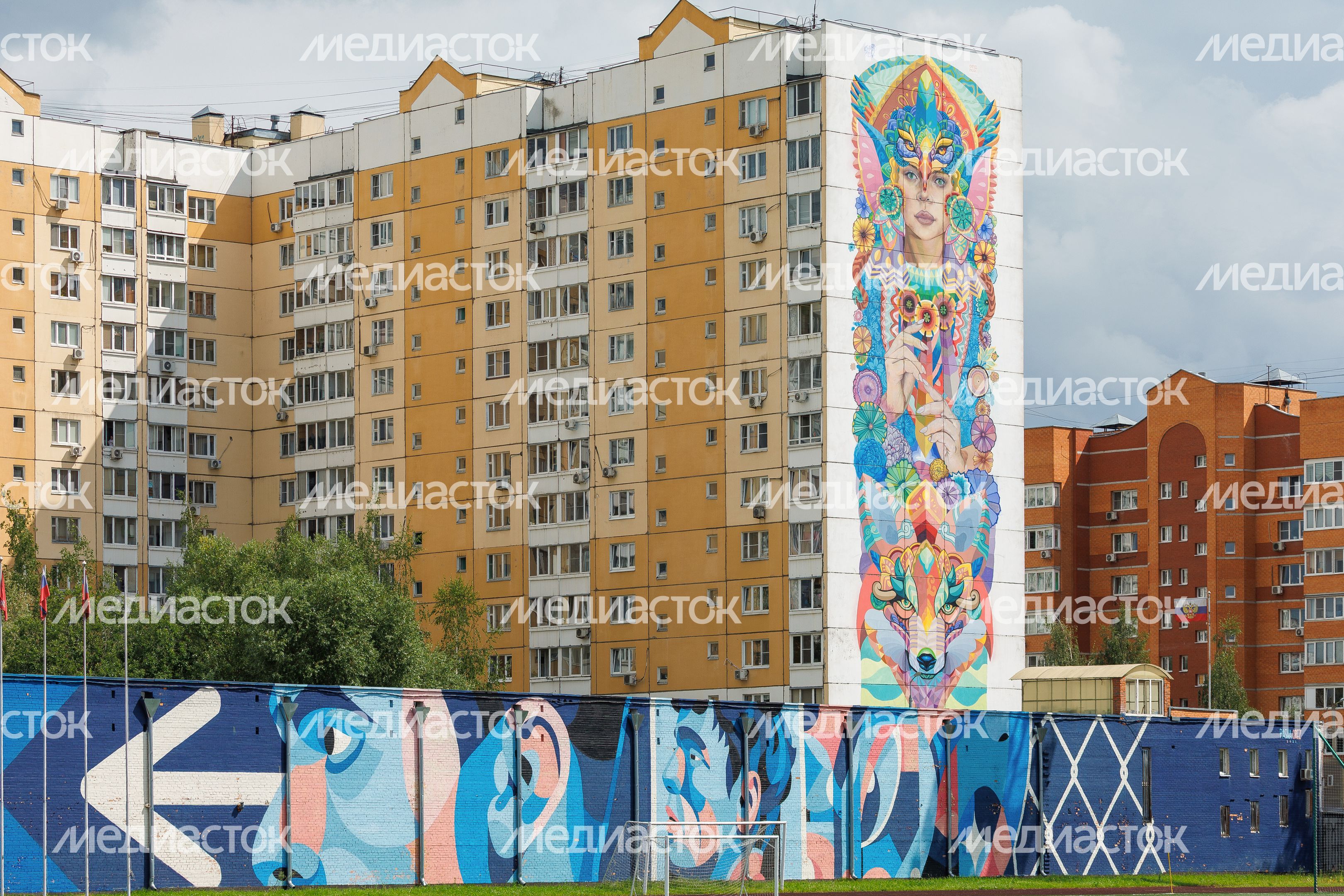 Муралы в Железнодорожном, Балашиха