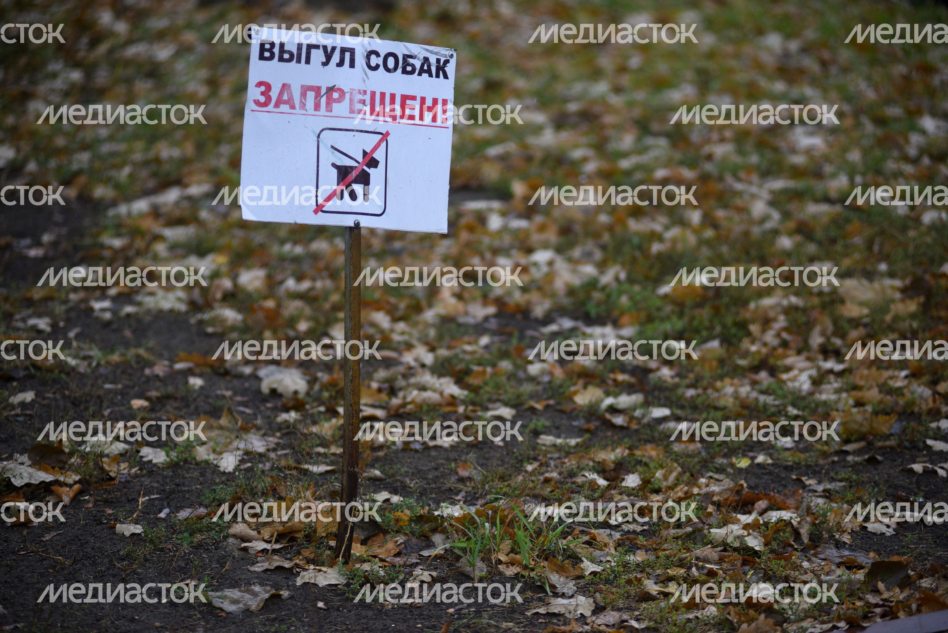 Табличка запрещающая выгул собак в Жуковском