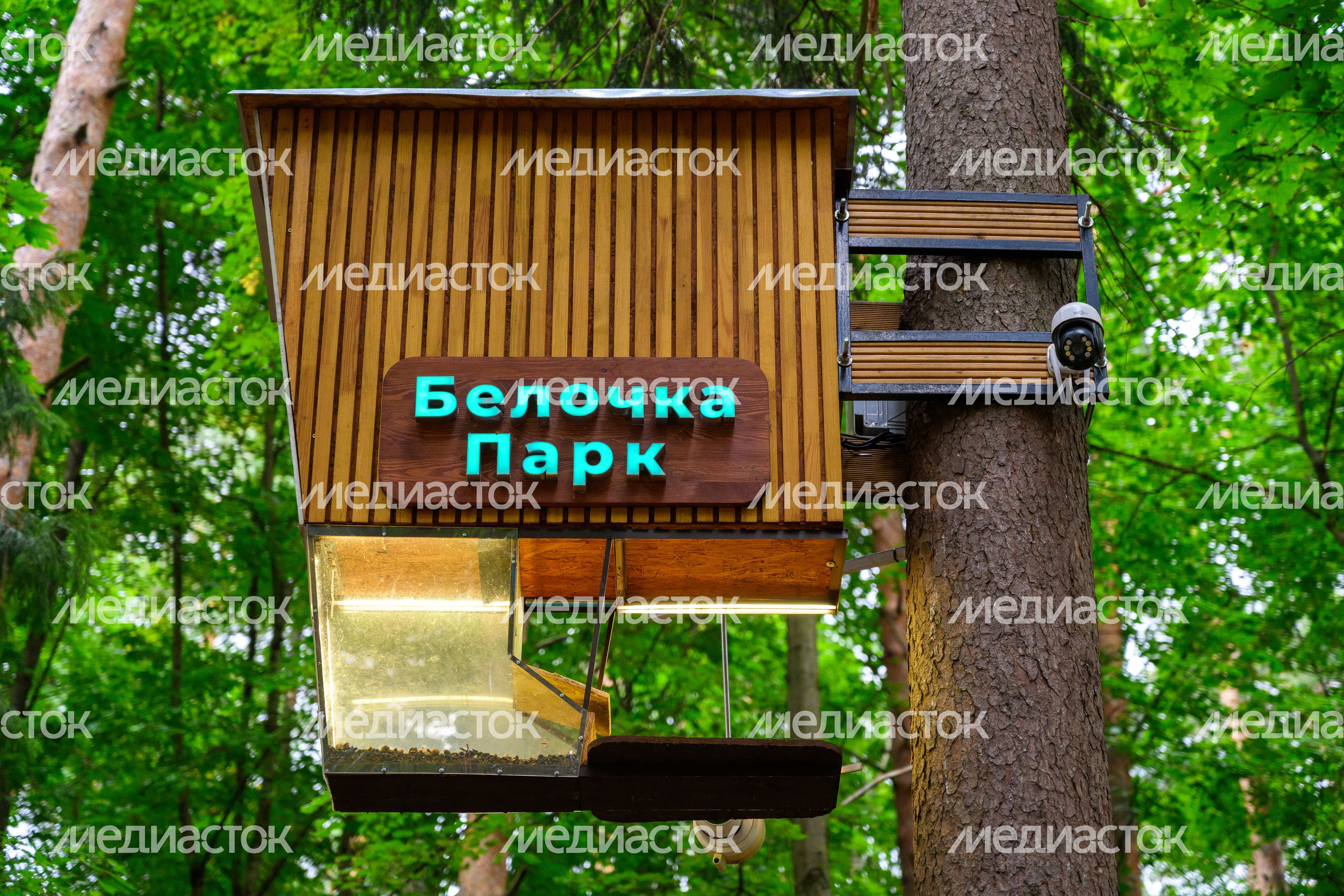 Центральный парк культуры и отдыха Жуковского летом Центральный парк культуры и отдыха Жуковского летом