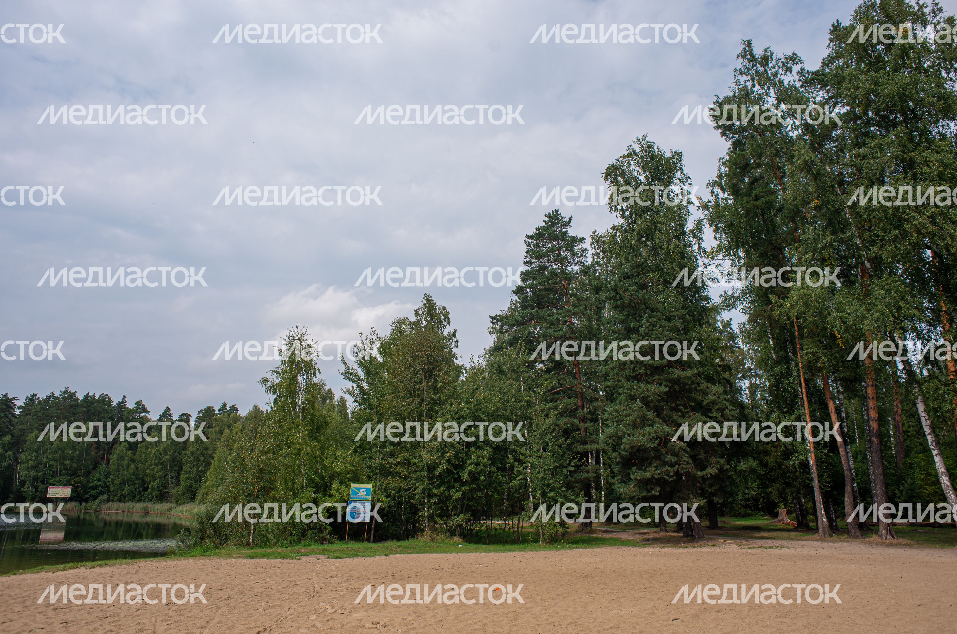 Летние виды города Черноголовка