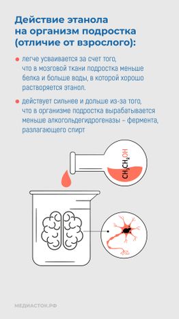 Алкоголь и развитие мозга вертикаль 07