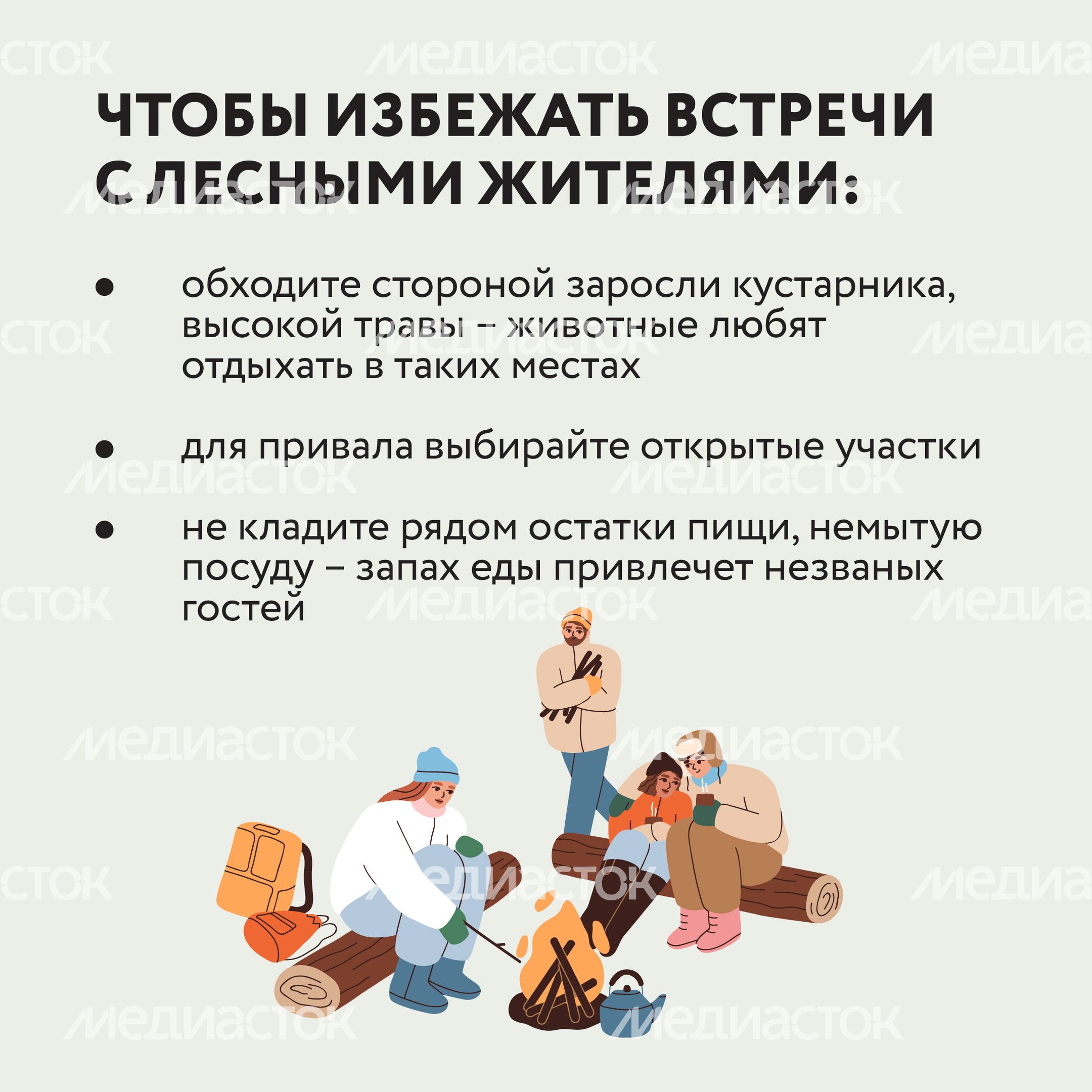 Квадрат Безопасность в лесу 07.jpg