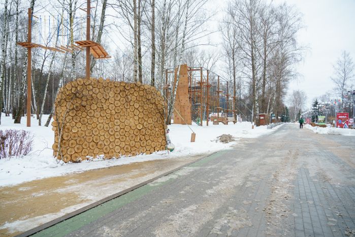 Кашира. Городской парк. Зима