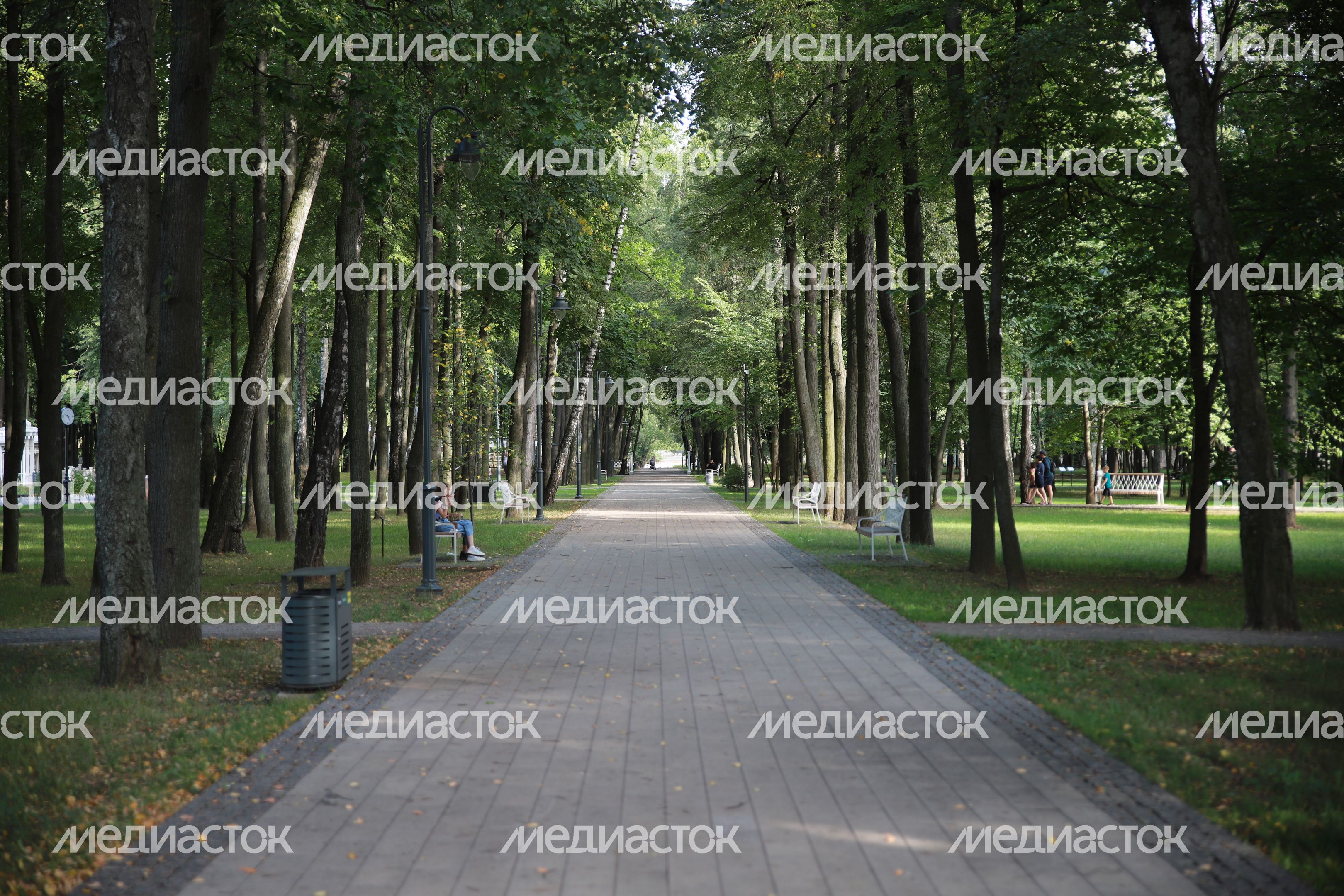 Кривякино