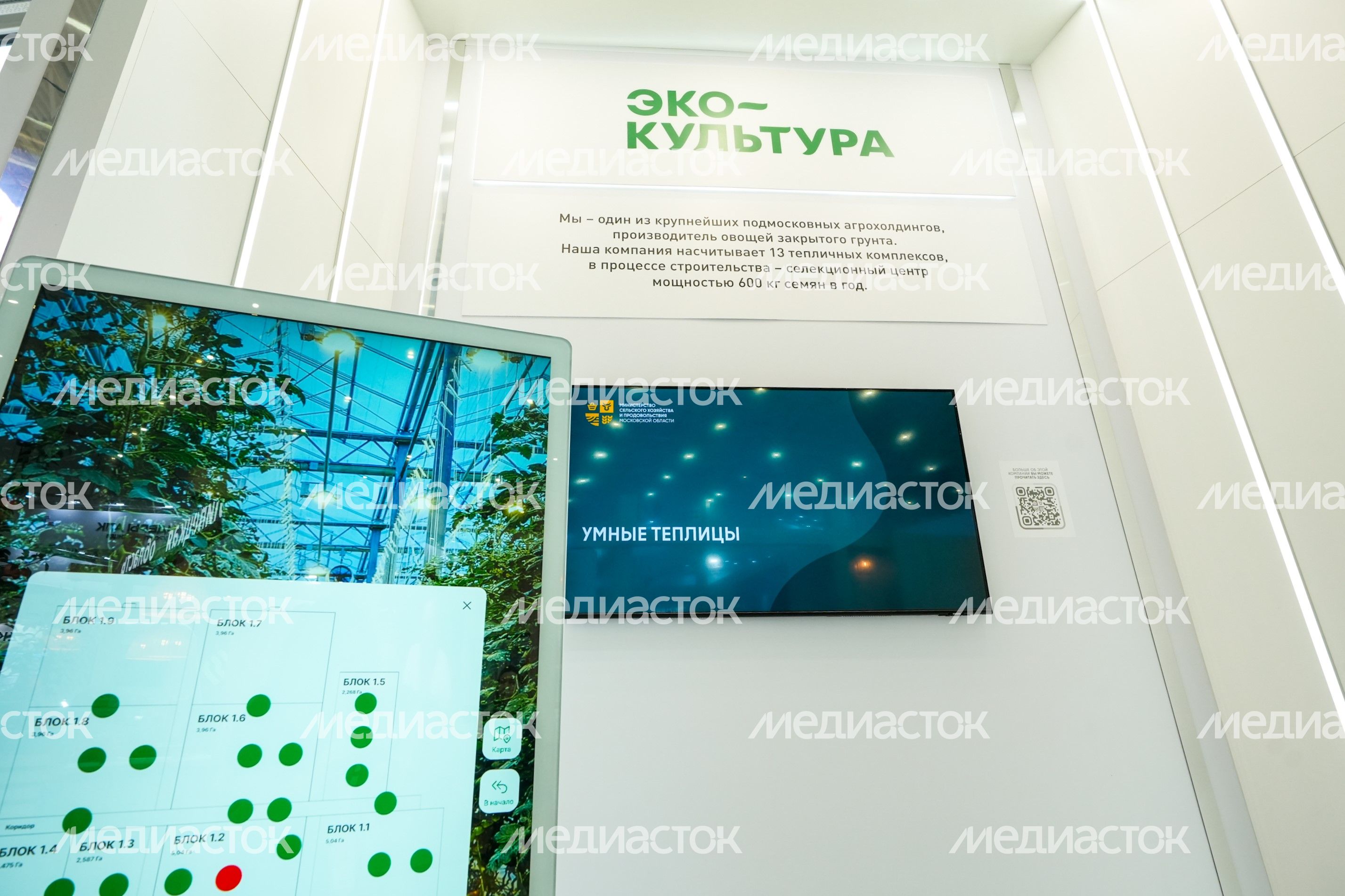 Стенд Подмосковья на выставке "Золотая осень - 2025" Стенд Подмосковья на выставке "Золотая осень - 2025"