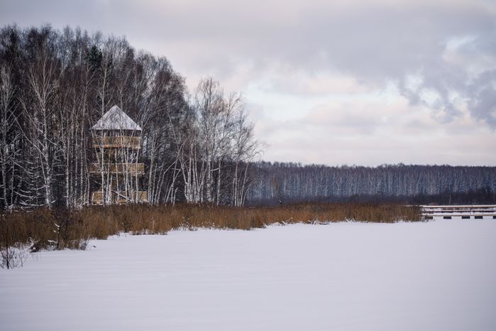 Лосиная биостанция в Национальном парке «Лосиный остров» в Мытищах
