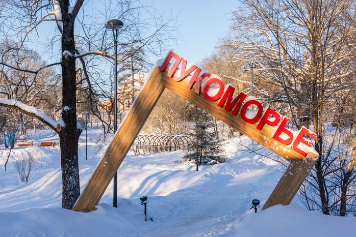 Зимний парк "Лукоморье" в Рузе