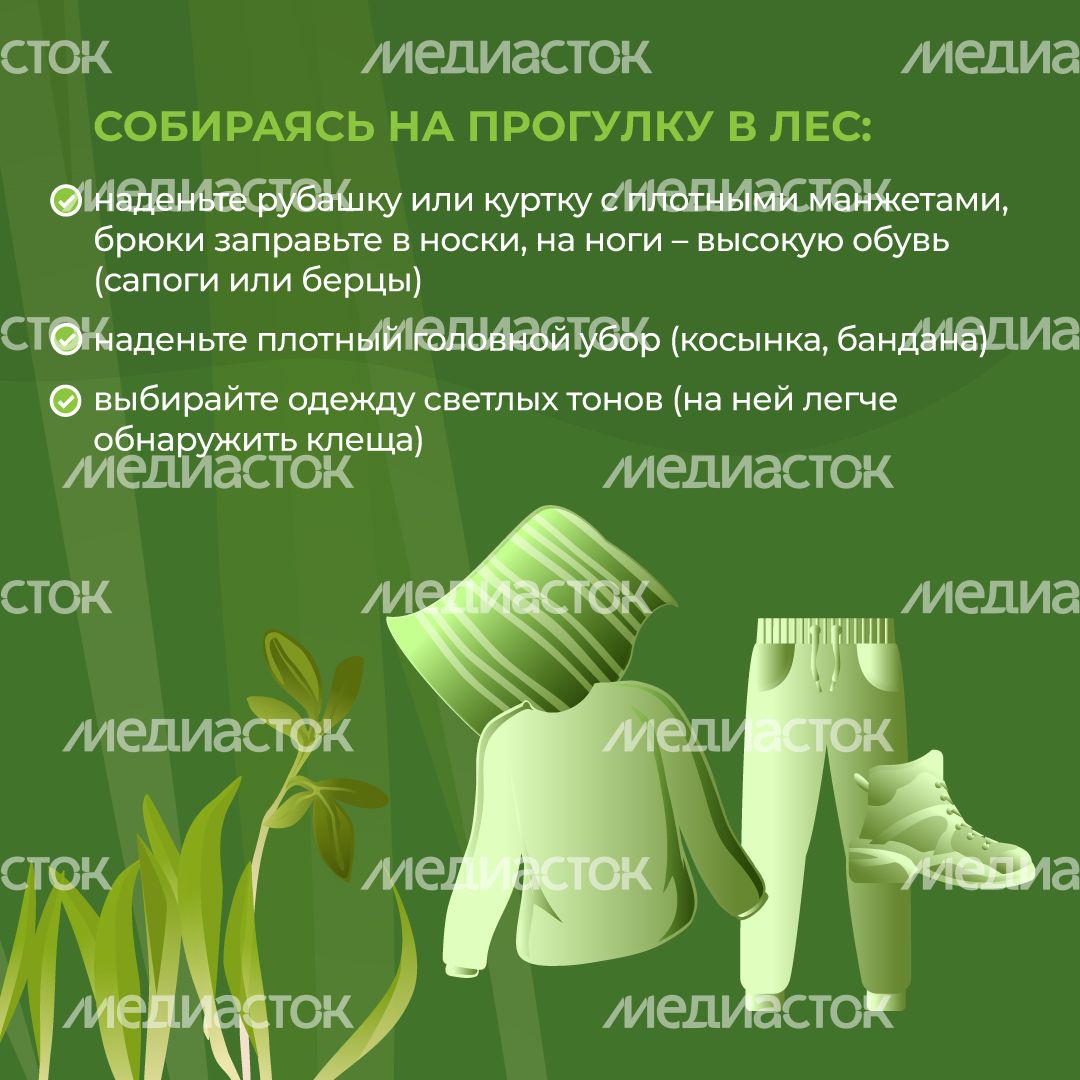 комлесхоз_клещи_кв_4