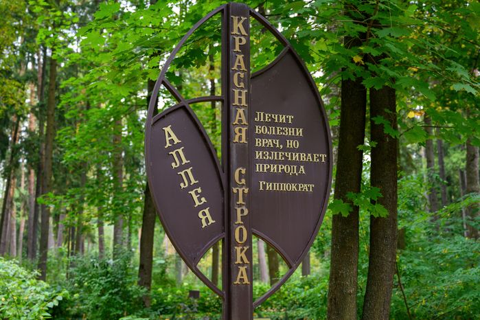 Дендрарий «Живая книга» в лесопарке «Волхонка» в Ногинске. Богородский округ