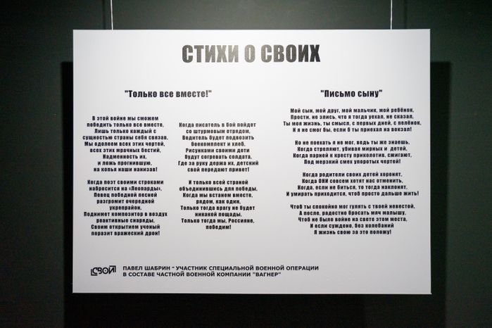 Домодедово. Молодежный центр "Победа". Выставка "Свои"