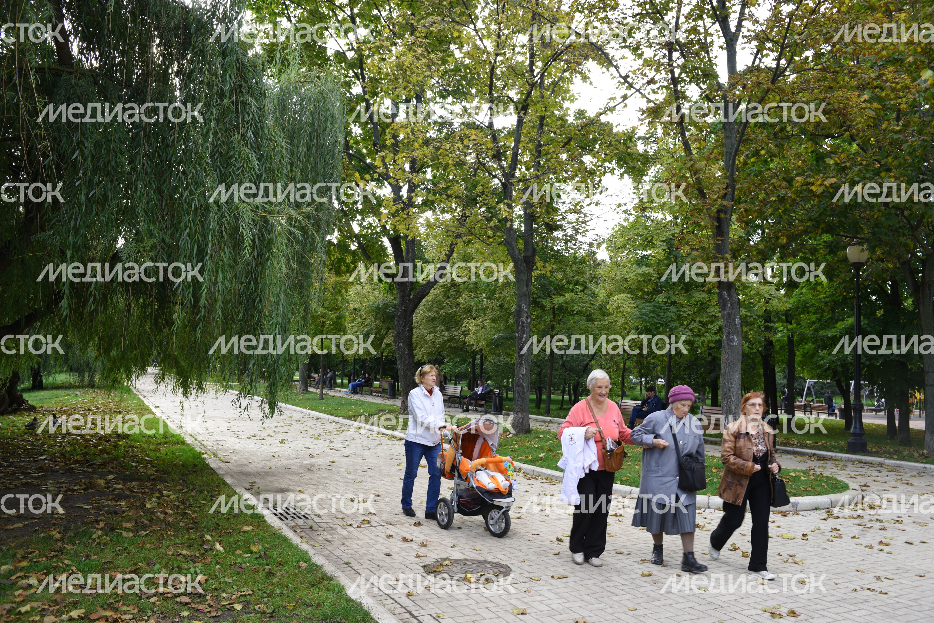 Парк Новодевичьи пруды в Москве
