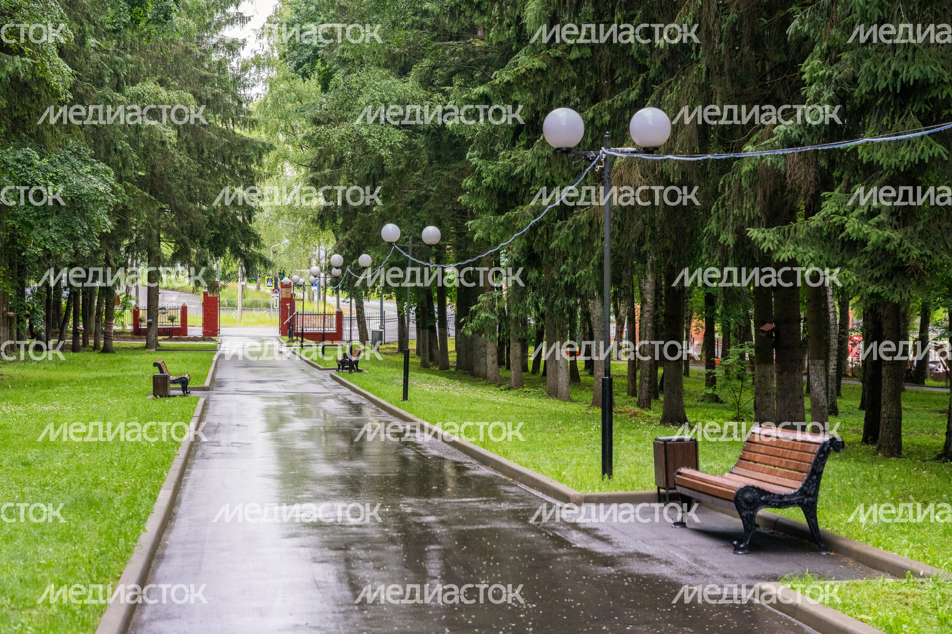 Лето в городском парке культуры и отдыха «Центральный» Волоколамска